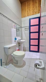 Hostal Campestre Sauzalito - Santa Rosa de Cabal - 2