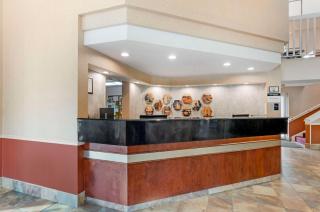 Best Western Lexington Inn - Lexington - 2