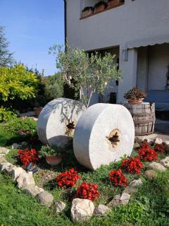 Il Mulinetto - Canalicchio - 0