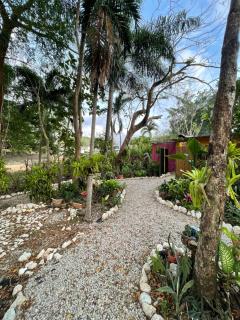 La Selva - Hojancha - 3
