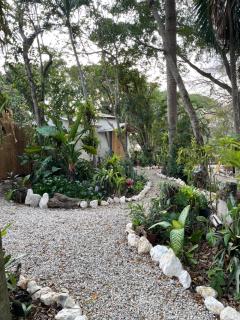 La Selva - Hojancha - 2