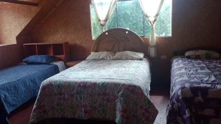 Habitaciones Alpinas - Palmira - 1