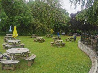 52 strawberry - Hayle - 5