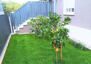 Apartments with parking space Porec - 24316 - 4