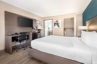 Best Western Green Tree Inn - Clarksville - 4