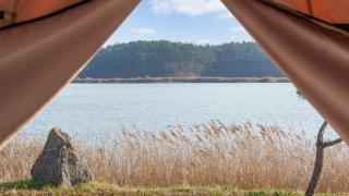Taean Bibi ArtGlamping - Taean - 2