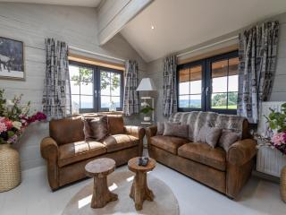 Chalet with covered outdoor pool - Trois-Ponts - 8