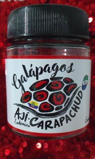 Capsicum galapagoense - Puerto Ayora - 1