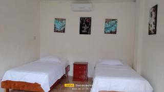 Capsicum Galapagoense - 0