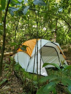 Campamento equipado de bosque - Cuetzalán del Progreso - 3
