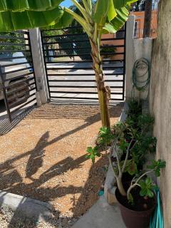 Casa Jardin - Cancún - 3
