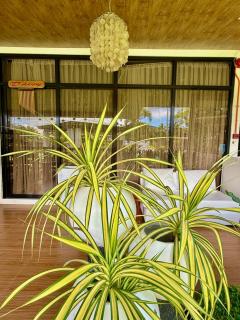 Jardin De Ysabelle - - 4