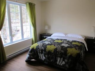 Chalet Alpin - LʼAnse-Saint-Jean - 4