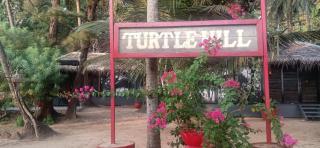 Turtle Hill Patnem - 1
