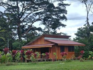 Sloth House - San Isidro - 0