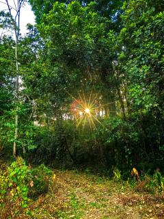 Sloth House - San Isidro - 2