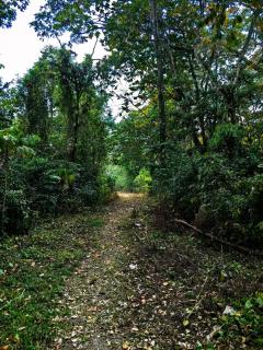 Sloth House - San Isidro - 1