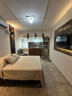 San Benito Executive Suite, luxury, security - 4