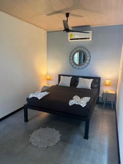 Osa Jungle Lodge - Puerto Jiménez - 9