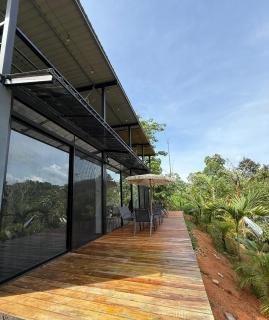 Osa Jungle Lodge - Puerto Jiménez - 8
