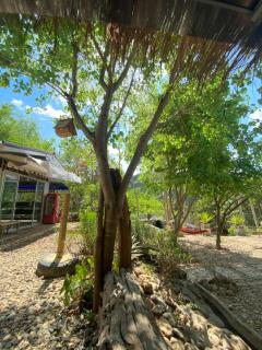 Styles Stay - Mae Hong Son - 1