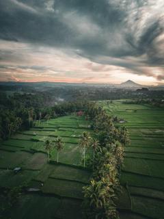Ayu Duwur Beji - Ubud - 0