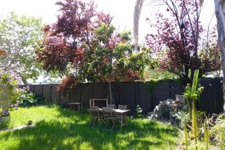 Charming Modern House With Botanic Garden - San José - 8