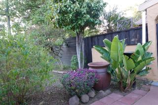 Charming Modern House With Botanic Garden - San José - 9