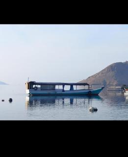 Komodo homstay - Komodo - 2