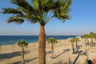 Athens stylish apt 2 min walk to the beach , tram - Atenas - 9