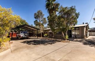 Wild Yam Artstay - 5