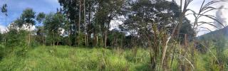 Albano Casa en bosque de conservación privado - Oxapampa - 5