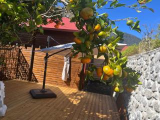 Les 3 Chalets de Cilaos - Cilaos - 9