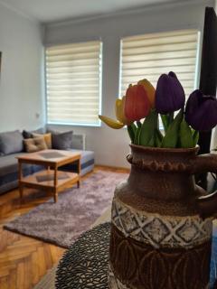 Tulip Apartment - Sarajevo - 0