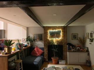 Charming, plant-filled cottage - Oxford - 8