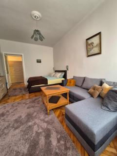 Tulip Apartment - Sarajevo - 2