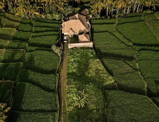 EDEN VALLEY - Ubud - 7