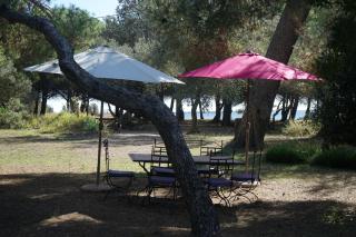 Joli Mas au bord de l'Etang de Thau - Marseillan - 0