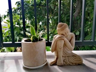 The Elephant's Nest - Canggu - 1