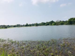 Wauthaulla Homestay - 6