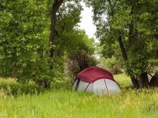 HikeWellness - outdoor camping & activities - Ajlun - 4