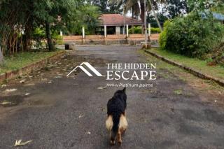The Hidden Escape by Platinum Palms - Jigani - 4