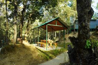 Chinar Luxury Tent Retreat in Majkhali - Chaubattia - 6
