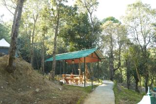 Deodar I Luxury Tent Retreat in Majkhali - Chaubattia - 8