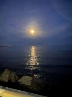 Toronto Lake Pool Palace Inn - 2