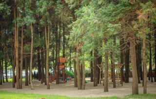 Bambo home - Tsikhisdziri - 4