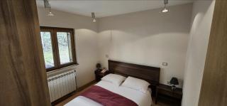 Legranz Apartments Zlatibor - Zlatibor - 8