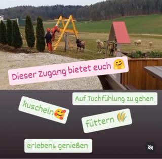 Wunderwelt Betzenstein familiär-ländlich-modern - Betzenstein - 5