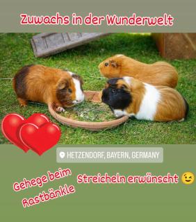 Wunderwelt Betzenstein familiär-ländlich-modern - Betzenstein - 6