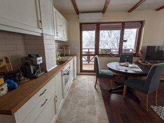 Lovely 1-bedroom Apartment with Mountain View - Bansko - 7